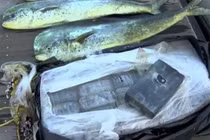 Thấy cá nhảy liên tục, phát hiện điều đáng sợ dưới mặt nước