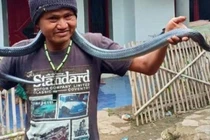 Kinh dị trăn giết chết chủ theo cách vô cùng đáng sợ