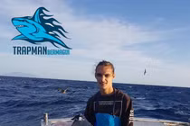 Cá mập khổng lồ bị “quái vật” bí ẩn cắn đứt đầu