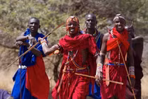 Nơi kỳ quái đàn ông phải đánh nhau với sư tử mới được tán gái