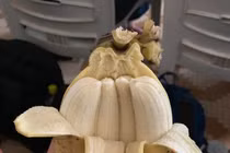 Ảnh lạ lùng trong cuộc sống ai xem cũng phải kinh ngạc