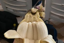 Ảnh lạ lùng trong cuộc sống ai xem cũng phải kinh ngạc