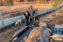 Bắt được cá sấu khổng lồ hơn 5m, siêu hung dữ