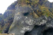 Bí ẩn những vật thể khoác dung mạo động vật cực lạ