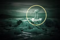 Quái vật biển hình người càn quét Nam Cực, khiếp hơn Loch Ness?