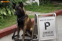 Ảnh “hot” chó nghiệp vụ Việt, Mỹ chuẩn bị Hội nghị Mỹ - Triều