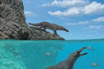 Tổ tiên cá voi có 4 chân, di chuyển trên bộ như rái cá