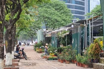 Hà Nội: Lô đất D22 Dịch Vọng Hậu bị “xẻ thịt” kinh doanh sai mục đích?