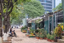 Hà Nội: Lô đất D22 Dịch Vọng Hậu bị “xẻ thịt” kinh doanh sai mục đích?