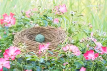 Năm Quý Mão 2023 tháng Âm lịch nào sinh con tốt nhất?