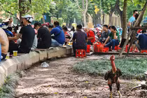 Nhiều người phớt lờ việc đeo khẩu trang, tụ tập bán trà đá rôm rả ở Hà Nội