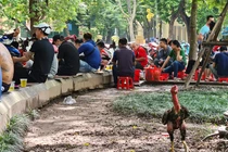 Nhiều người phớt lờ việc đeo khẩu trang, tụ tập bán trà đá rôm rả ở Hà Nội