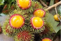 Xuất hiện loại chôm chôm “lạ”, chị em tò mò “tới tấp” đặt mua 