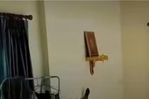 Thất kinh khi hổ mang chúa “khủng” mò vào nhà, leo lên bàn thờ