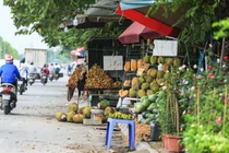 “Chợ cóc” bùng phát trên Đại lộ Thăng Long, hiểm họa khôn lường