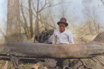 Tìm được “siêu quái vật” sống sót xuyên đại tuyệt chủng khủng long