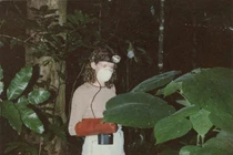 Loài cây cực độc chạm nhẹ cũng khiến gây đau đớn