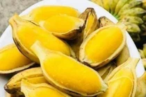 Loại chuối lạ xưa không ai ngó, giờ thành đặc sản giá 60.000 đồng/kg