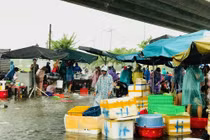 Sử dụng thực phẩm mùa mưa bão, ngập lụt sao cho an toàn?