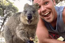 Nó là động vật hạnh phúc nhất trên thế giới, ngoài ngủ còn lại chỉ biết cười