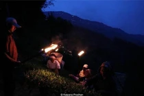 Vì sao loại trà đắt nhất thế giới chỉ hái trong đêm trăng tròn? 