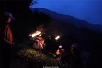 Vì sao loại trà đắt nhất thế giới chỉ hái trong đêm trăng tròn? 