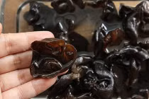 Ngâm mộc nhĩ cứ làm theo cách này đảm bảo mộc nhĩ nở bung, sạch hết cặn bẩn