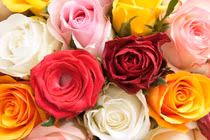 Trẻ sinh vào 4 khung giờ Âm lịch này, giàu ý chí vươn lên lại hết mực hiếu thảo