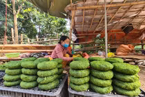 Xưa là đồ bỏ đi, nay lên mâm thành đặc sản "nức tiếng"