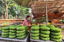 Xưa là đồ bỏ đi, nay lên mâm thành đặc sản "nức tiếng"