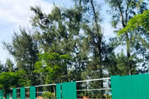 “Mục sở thị” khu đất vàng ven biển Quảng Ngãi bỏ hoang nhiều năm