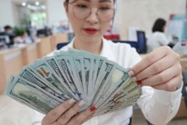 Tỷ giá USD hôm nay 13/10/2023: Đồng USD có tăng trở lại?