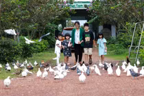 Cuộc sống hoa hậu Oanh Yến đưa con rời quê lên thành phố