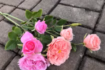 Làm hoa hồng bất tử rồi bán giá tới vài triệu đồng/sản phẩm