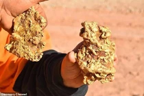 Dắt chó đi dạo, cô bé 4 tuổi nhặt được khối vàng khổng lồ