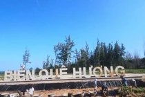 Chi tiết 4 dự án “khủng” được giao đất không qua đấu giá ở Bình Thuận