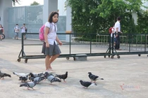 Phụ huynh 'vỡ òa', bớt sợ hãi vì con được đến trường