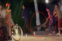 Cận cảnh quá trình vây bắt “bé Na” siêu khổng lồ ở Vĩnh Long