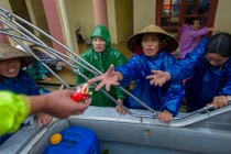 Lương khô ủng hộ miền Trung: Có bị “nhảy giá”, nhãn hàng nào đảm bảo?