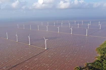 Enterprize Energy đầu tư điện gió Bình Thuận 12 tỷ USD: Doanh nghiệp “nội” buồn?