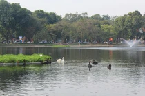 Hà Nội nói về chủ trương mở phố đi bộ khu Công viên Thống nhất và hồ Thiền Quang