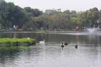 Hà Nội nói về chủ trương mở phố đi bộ khu Công viên Thống nhất và hồ Thiền Quang