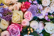 10 ngày đầu tháng 7, 3 con giáp vơ hết lộc trời, thăng tiến không ngừng