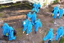 Soi hồ sơ cty thuỷ sản Thành Tâm hoạt động trái phép có F0