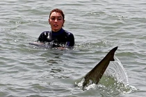 Du khách bơi cùng cá mập bất chấp cảnh báo ở Israel