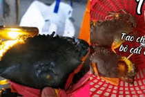 Dân biển tiết lộ: Dùng đèn soi điểm này biết cua ngon hay dở