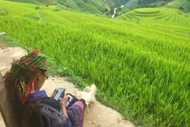 “Những chiếc thang tuyệt vời leo lên bầu trời Tây Bắc“