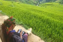 “Những chiếc thang tuyệt vời leo lên bầu trời Tây Bắc“