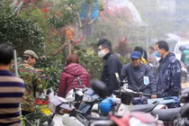 Người dân Hà Nội “tranh nhau” mua cây cảnh ở chợ hoa Vạn Phúc