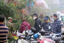 Người dân Hà Nội “tranh nhau” mua cây cảnh ở chợ hoa Vạn Phúc